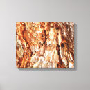 Search for tree bark canvas prints Brown