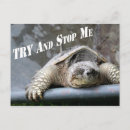 Search for turtle quotes Inspirational quote
