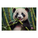 Search for panda eating bamboo posters Cute