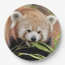 Search for panda plates Animals