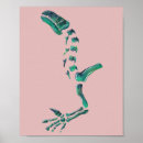 Search for dinosaur fossil posters Jurassic