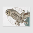 Search for owl in tree Vintage