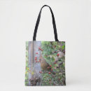 Search for cardinal bags Winter