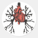 Search for lungs stickers Anatomy