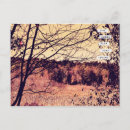 Search for wide postcards Photography