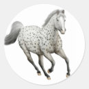 Search for appaloosas stickers Western