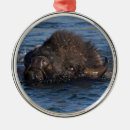 Search for bison christmas tree decorations Outdoors