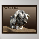 Search for bull art Tourism