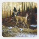 Search for doe stickers Forest