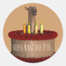 Search for funny camel stickers Humourous