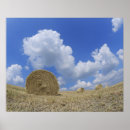 Search for balefulness posters Agriculture