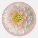 Search for waterlily stickers Floral