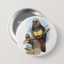 Search for blue parrot badges Tropical