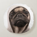 Search for pug cushions Puppy