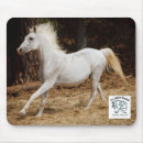 Search for non profit electronics Horse