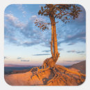 Search for bryce canyon stickers Nature