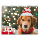Search for secret santa gifts Puppy