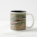 Search for eels mugs Fish