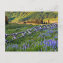 Search for railing postcards Blue