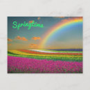 Search for spring colours postcards Vibrant