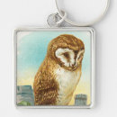 Search for barn owls key rings Birds of prey