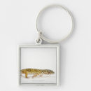 Search for geckos key rings Reptile