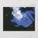 Search for flap postcards Freedom