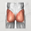 Search for tissue postcards Physiology