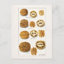Search for nuts postcards Vintage