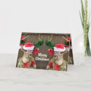 Search for funny deer christmas cards Buck