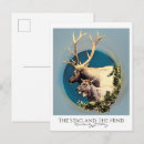 Search for stag postcards Wildlife