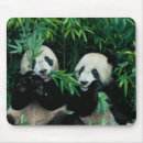 Search for bamboo mouse mats Panda
