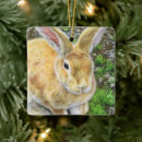 Search for easter bunny christmas tree decorations Pet
