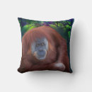 Search for orangutan cushions Ape