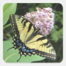 Search for yellow butterfly stickers Swallowtail