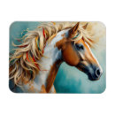 Search for mustang magnets Pinto