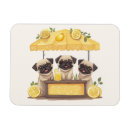 Search for refreshments magnets Illustration