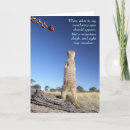 Search for meerkat christmas cards Santa