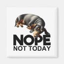 Search for doxies magnets Fun