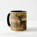 Search for tailed deer Odocoileus virginianus