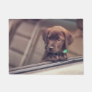Search for labrador dog garden decor Puppy
