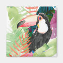 Search for toucan gifts Birds