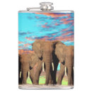 Search for elephant flasks Wildlife