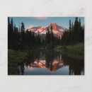 Search for gary postcards Nobody