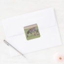 Search for colt stickers Animals