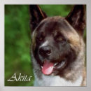 Search for akitas art Cute