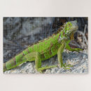 Search for florida keys puzzles Beach