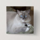 Search for cat square badges Full length