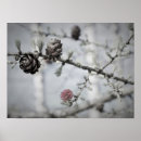 Search for black and white tree posters Summer