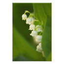 Search for scented posters Abstract
